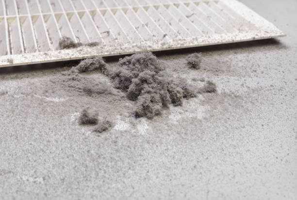 Best Air Duct Cleaning Company Near Me  in Ipswich, SD