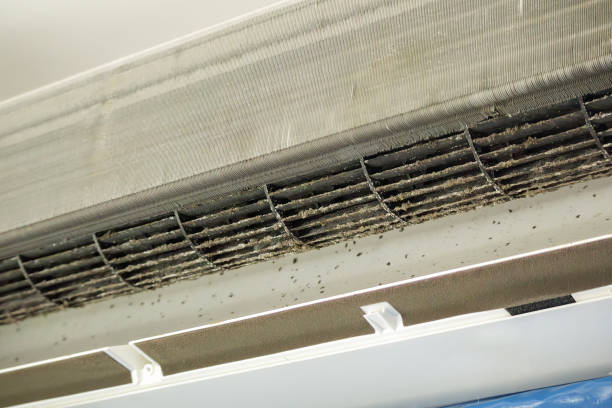 Best Air Duct Cleaning Near Me  in Ipswich, SD