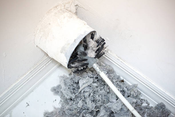 Best Air Duct Inspection  in Ipswich, SD